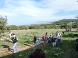 Clicca qui per vedere l'immagine in dettaglio